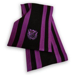 Assassins' Guild College Scarf